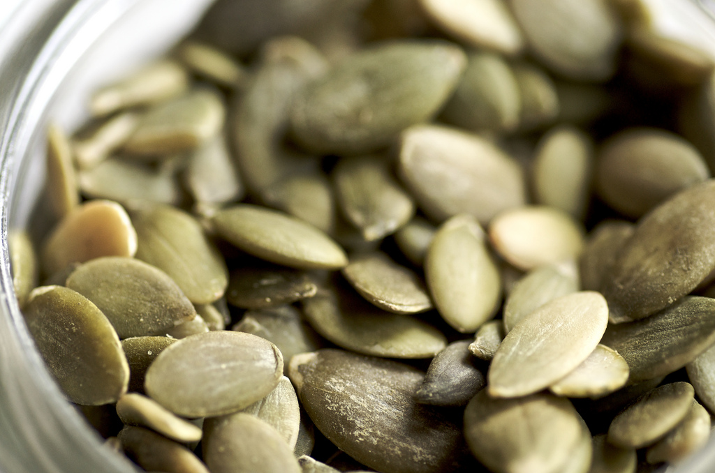 Bulk Pumpkin Seeds - Pumpkin Seeds - Shop-Woodstock