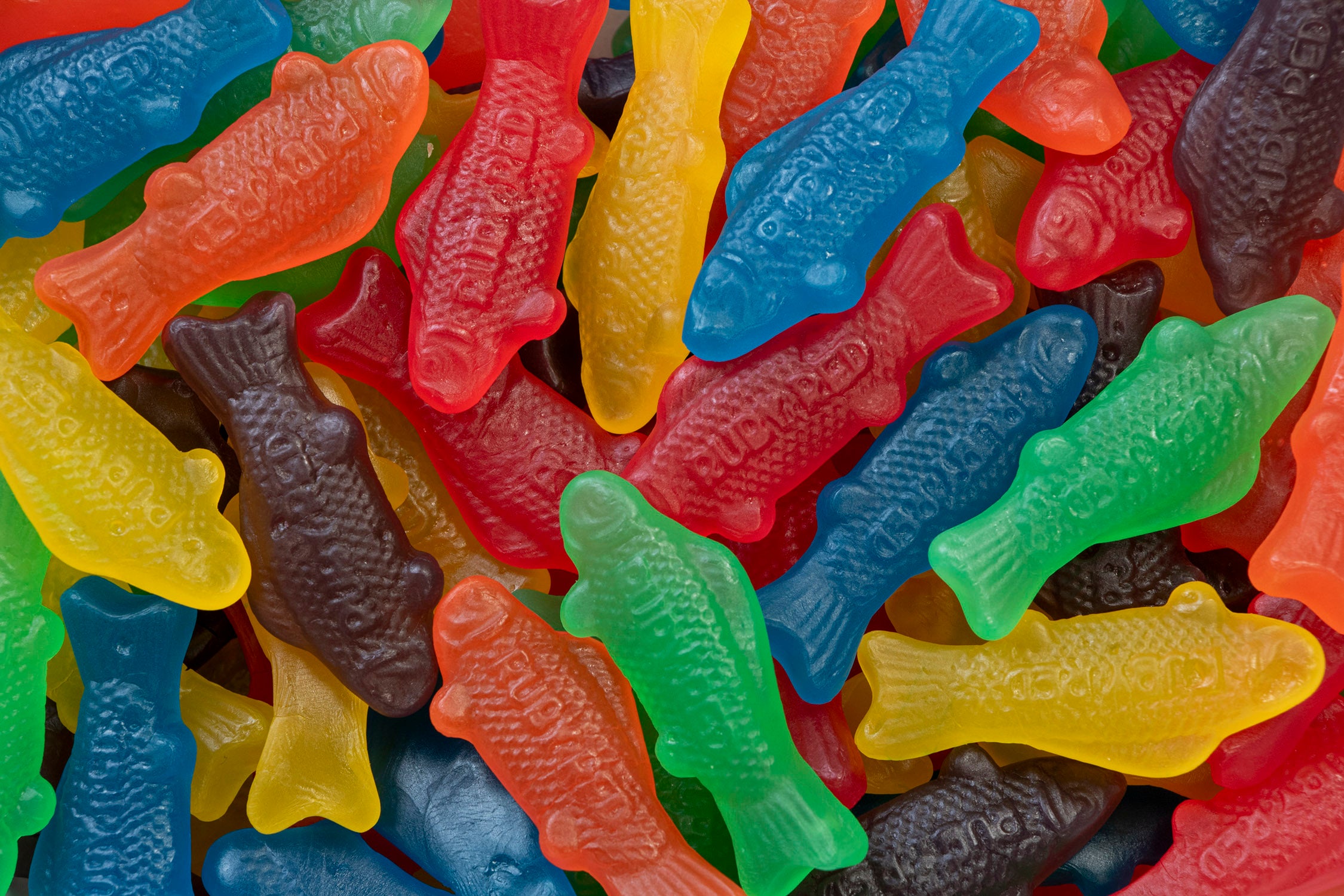 rainbow gummy fish