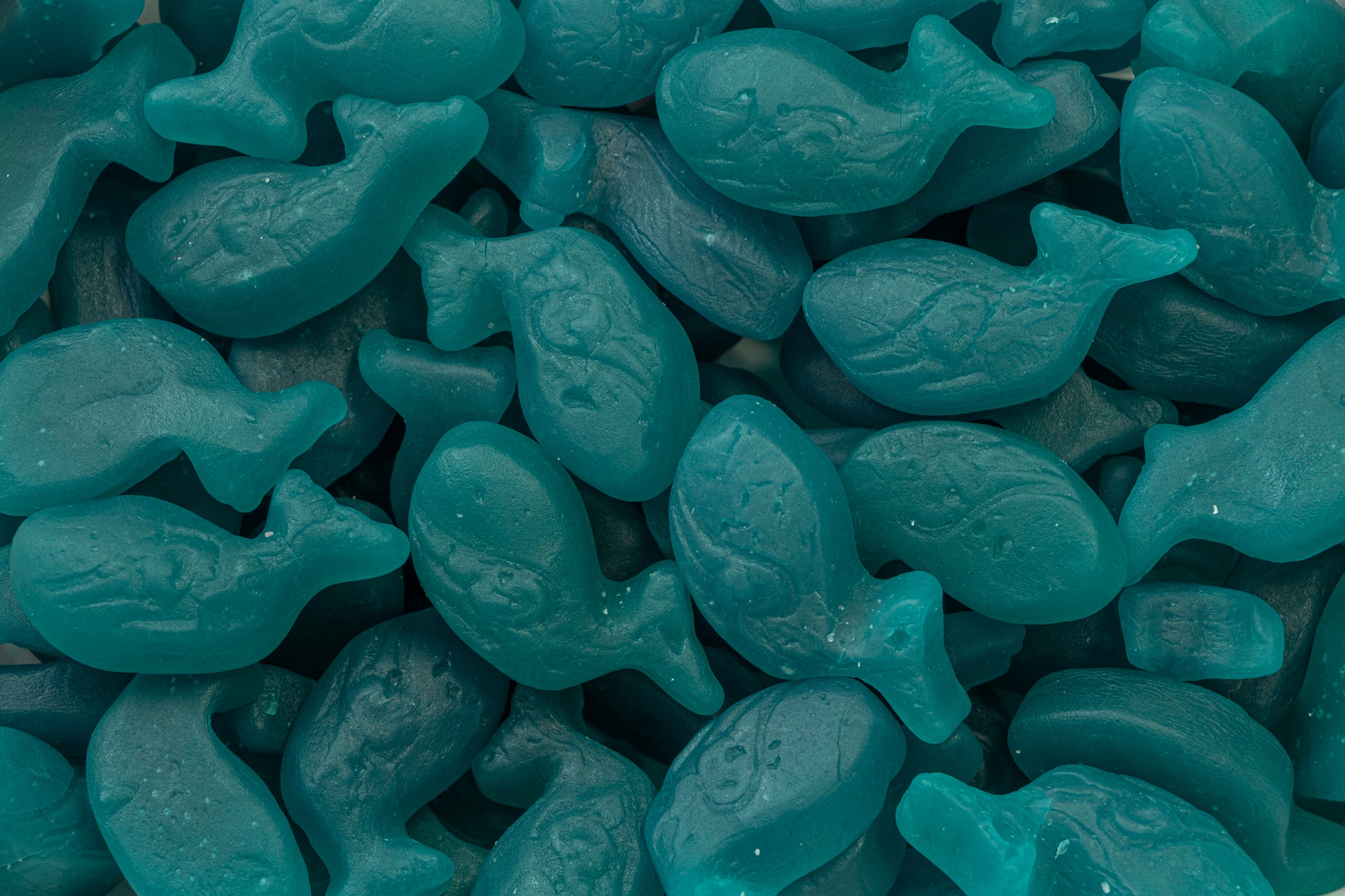 Blue gummy whales