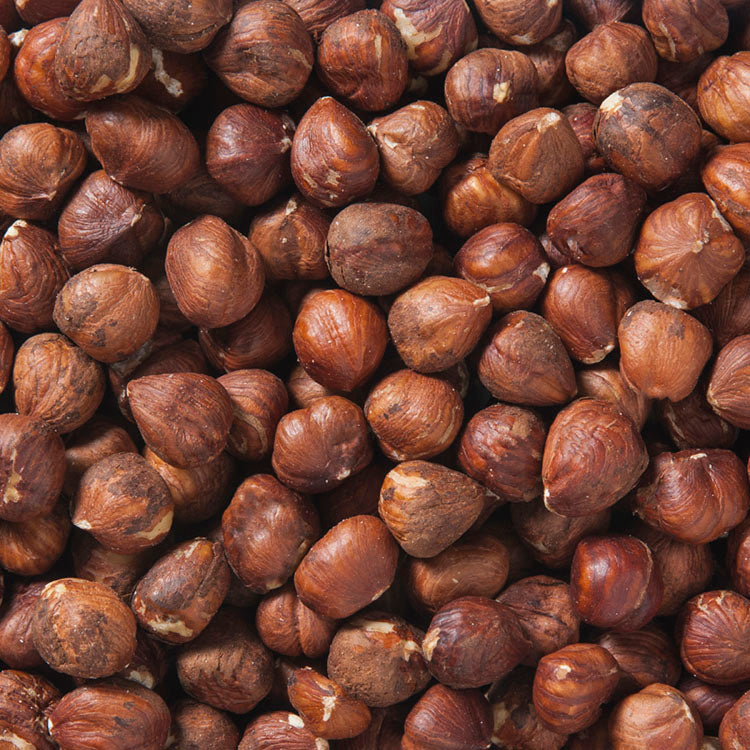 Raw Shelled Filberts / Hazelnuts
