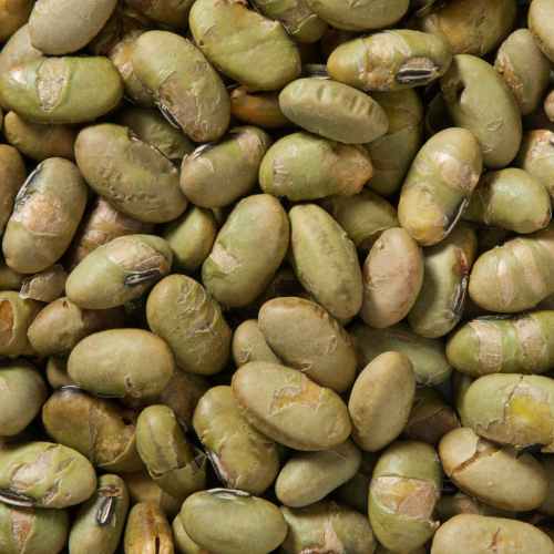 Bulk Edamame Dry Roasted & Salted