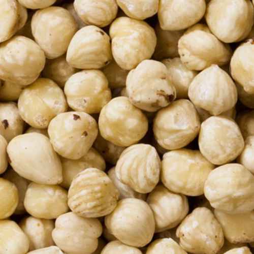 Bulk Raw Shelled Filberts / Hazelnuts