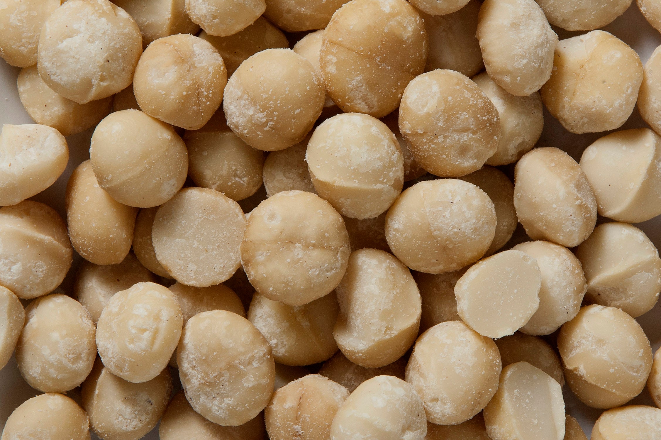 Roasted & Salted Macadamia Nuts