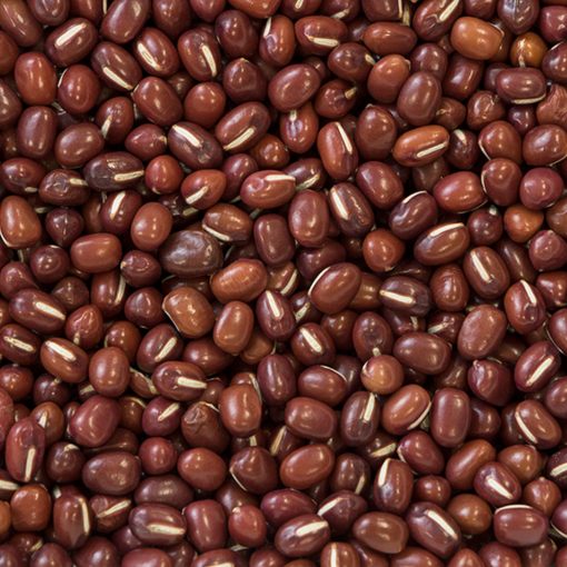 Organic Adzuki Beans | Woodstock Farms