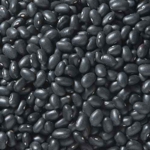 Black Beans