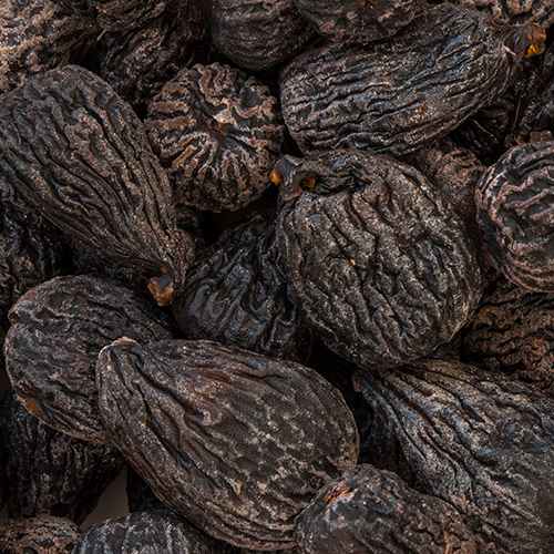 Organic Black Mission Figs | Woodstock Farms