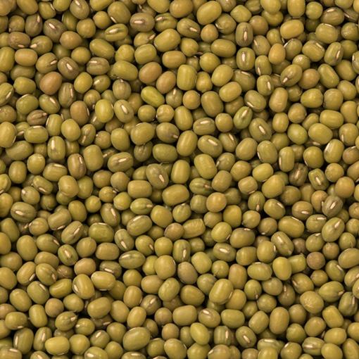 Organic Mung Beans | Woodstock Farms