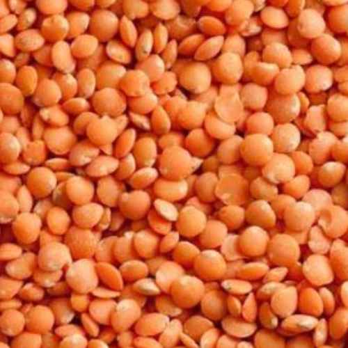 Organic Red Lentils | Woodstock Farms