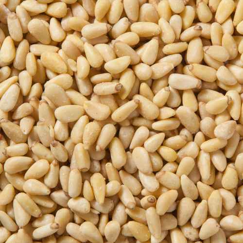 Pine Nuts | Pignolia | Woodstock Farms