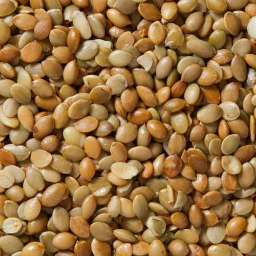 Pumpkin Seeds Roasted Unsalted | Woodstock Farms