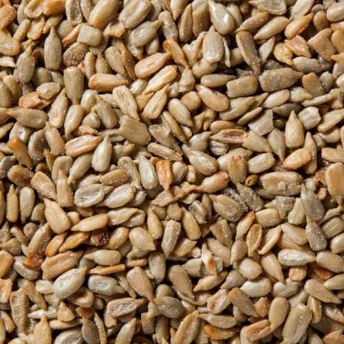 Organic Roasted Sunflower Seeds with Sea Salt