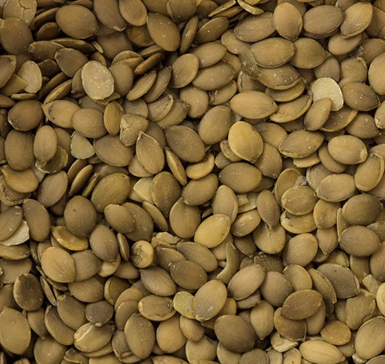 USA Grown Raw Pumpkin Seeds / Pepitas