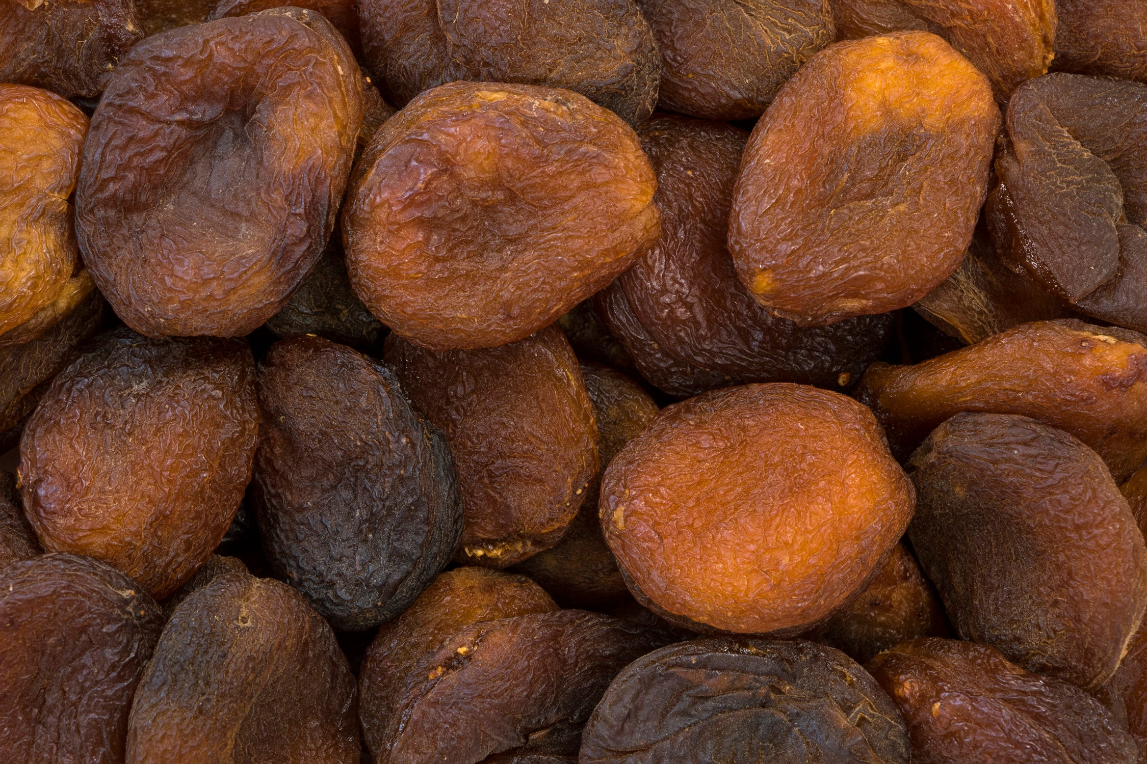 Organic Dried Apricots (Turkish)