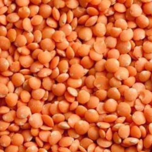 Organic Red Lentils, 16 oz Container - 12 Pack