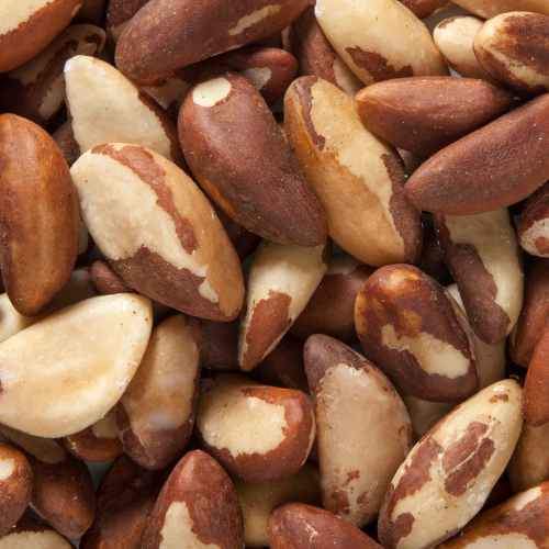 Organic Brazil Nuts | Woodstock Farms