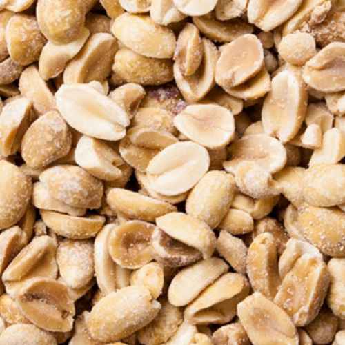 Organic Dry Roasted Peanuts No Salt | Woodstock Farms