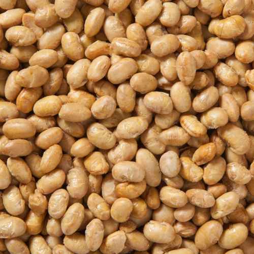 Organic Dry Roasted Soy Nuts | Woodstock Farms