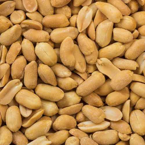 Peanuts Roasted Salted | Woodstock Farms