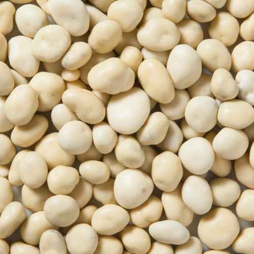 Yogurt Raisins | Woodstock Farms Mfg